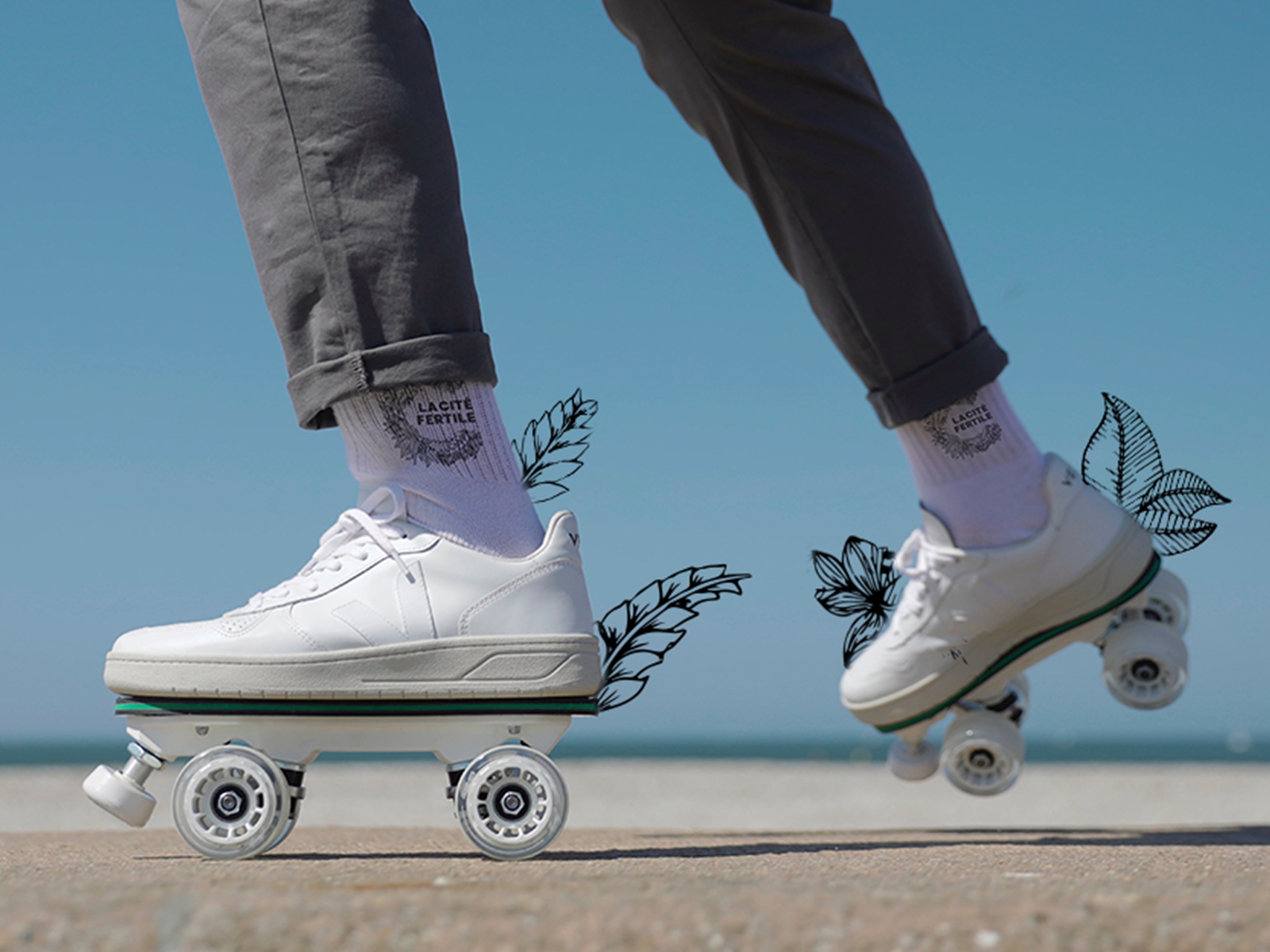 Skates in Pantin