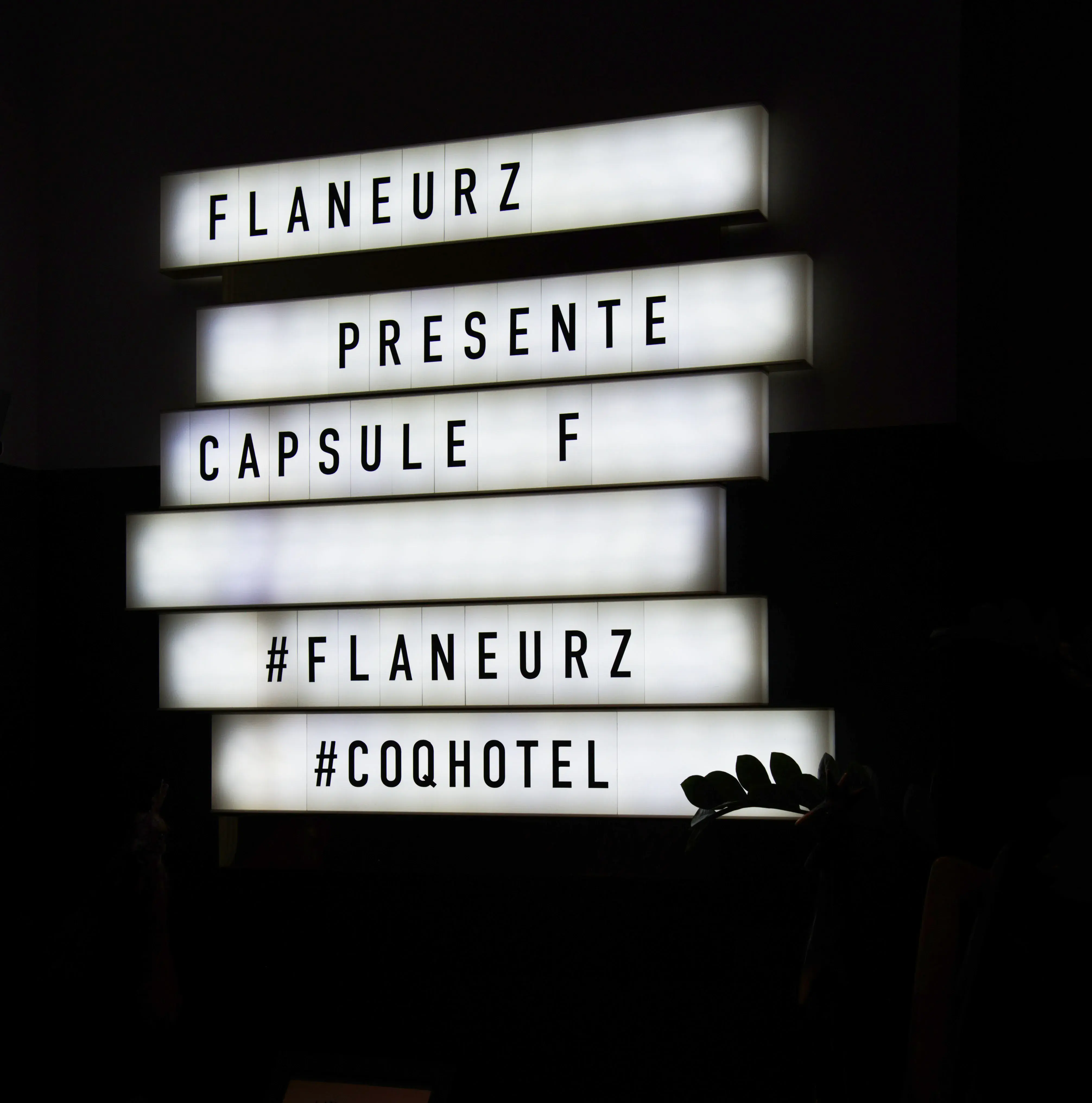 flaneurz affiche