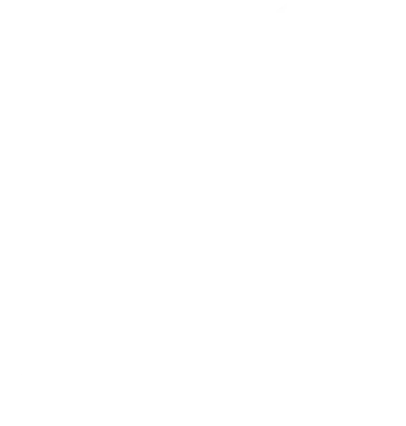 spots and life style icon