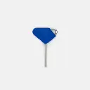 Blue Unlocking Key